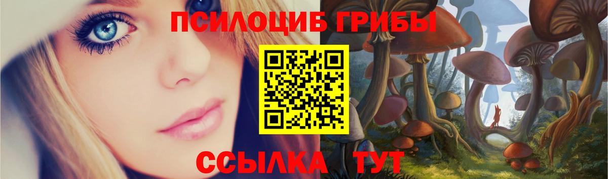 Лыткарино  Псилоцибиновые грибы GOLDEN TEACHER  Галлюциногенные грибы мухоморы  где купить наркоту  Вход с VPN 